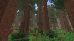 Большой пользовательский биом - Карта Minecraft PE