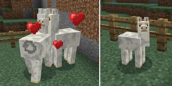 Лама - Мод/Аддон Minecraft PE