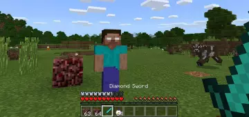 Херобрин - Мод/Аддон Minecraft PE