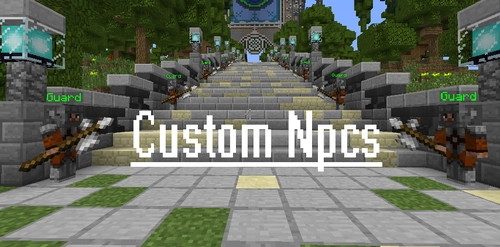 Custom NPCs [1.16.5] [1.13.2] [1.12.2] [1.11.2]