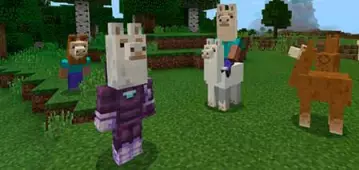 Головы Ламы - Мод/Аддон Minecraft PE