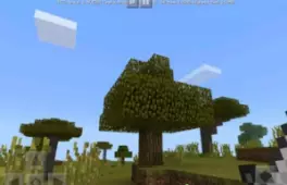 Coons Unlocker - Мод/Аддон Minecraft PE