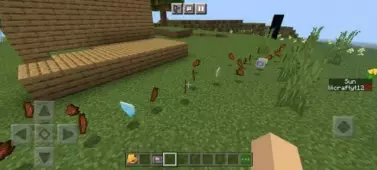 Plant VS Zombie - Мод/Аддон Minecraft PE