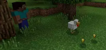 Золотая курочка - Мод/Аддон Minecraft PE