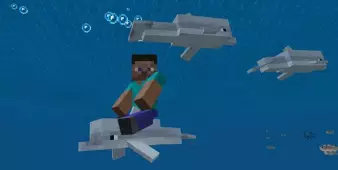 Ездовые Дельфины - Мод/Аддон Minecraft PE