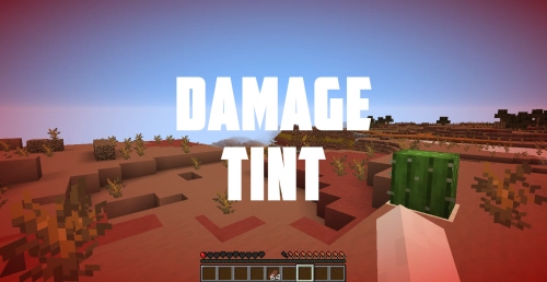 Damage Tint [26.2] [1.17.1] [1.16.5]