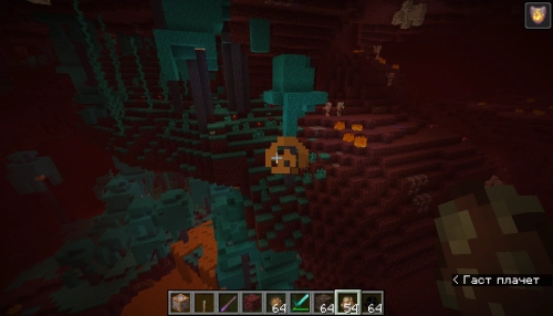 nether_update [1.16.5]