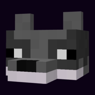 Raccoon [1.16.5]