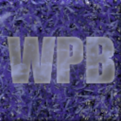 Wither-Proof Block [1.17.1] [1.16.5]
