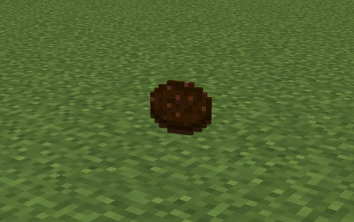 Chokolate cookie [1.16.5]