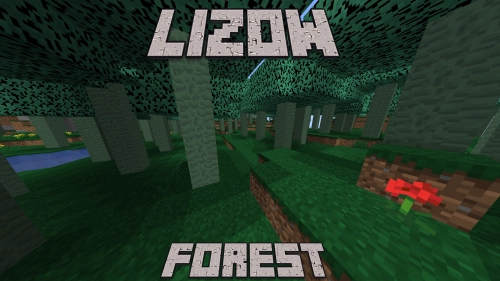 Lizow forest [1.16.5]
