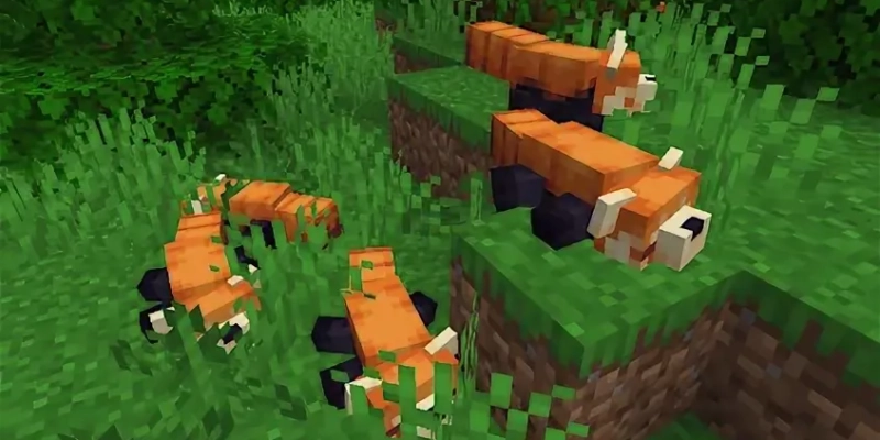 Red Pandas [1.16.5]
