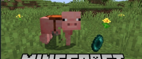 Mounted Pearl [1.21.1] [1.20.1] [1.19.4] [1.16.5]