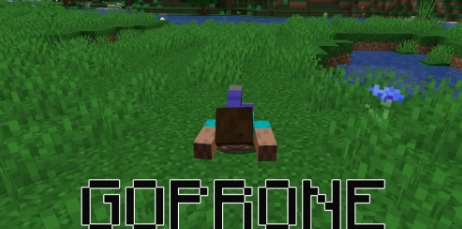 GoProne [1.20.1] [1.19.4] [1.18.2] [1.16.5]